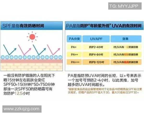 探索pa和pavs的选择对决与应用场景分析 探索pa和pavs的选择对决与应用场景分析
